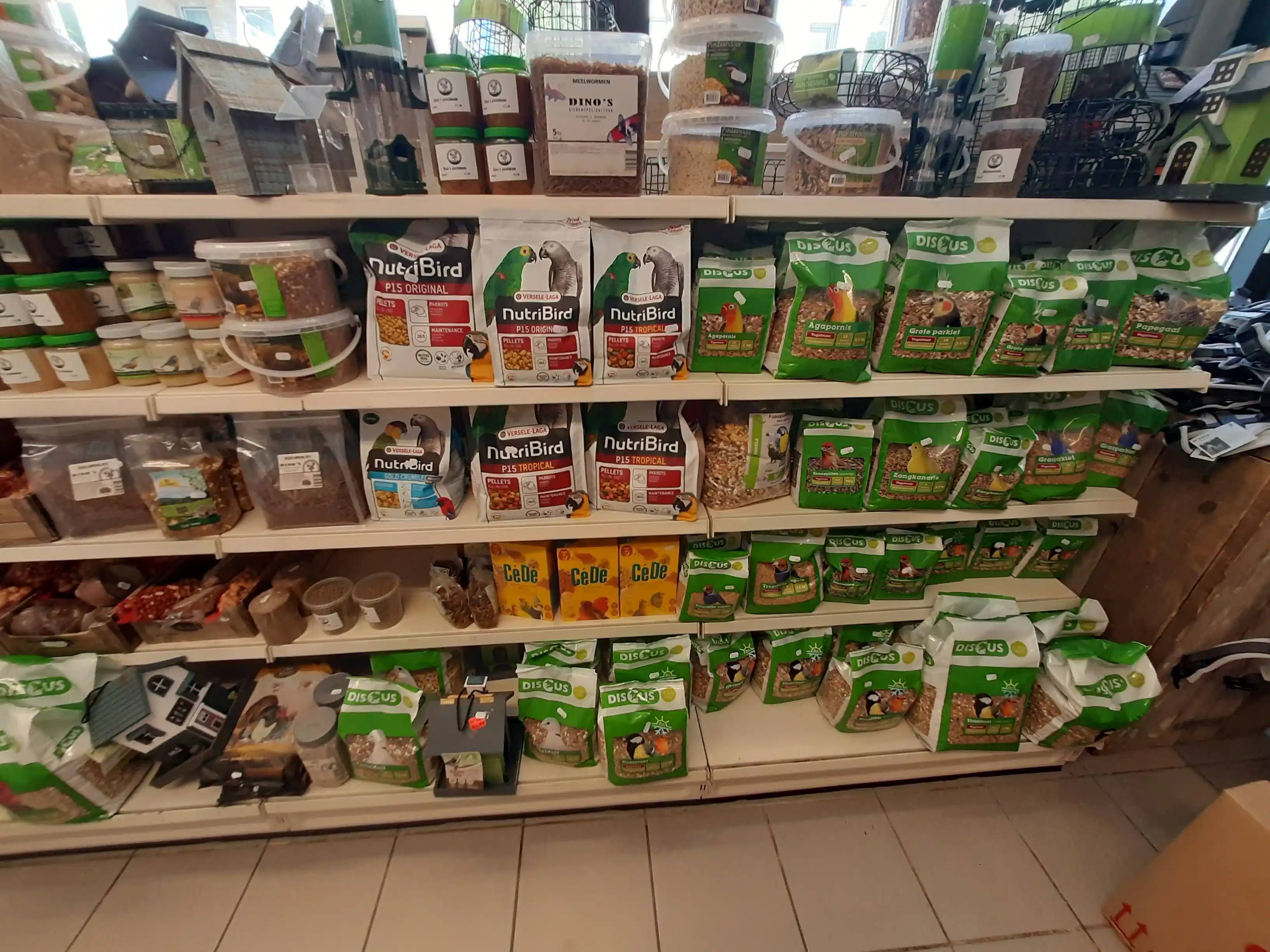 Vogels categorie